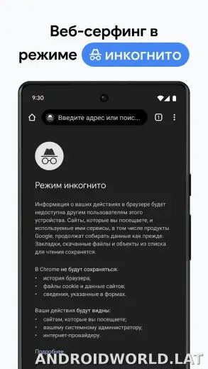 Google Chrome скриншот 3